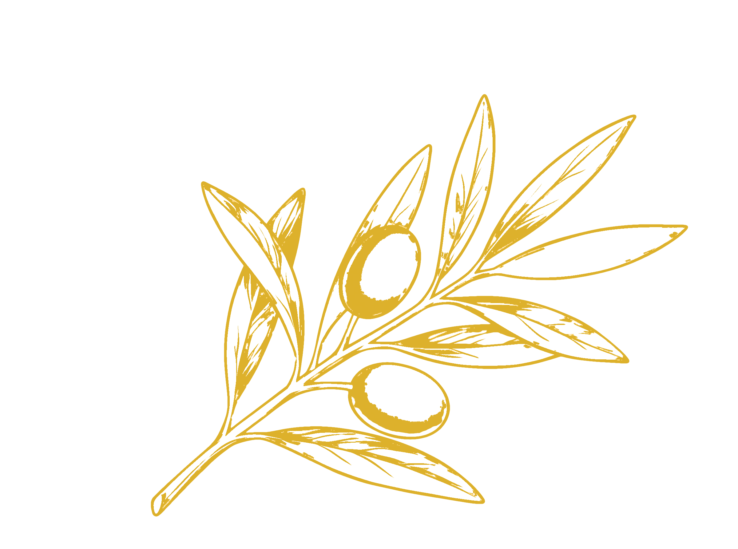 Oliva icon